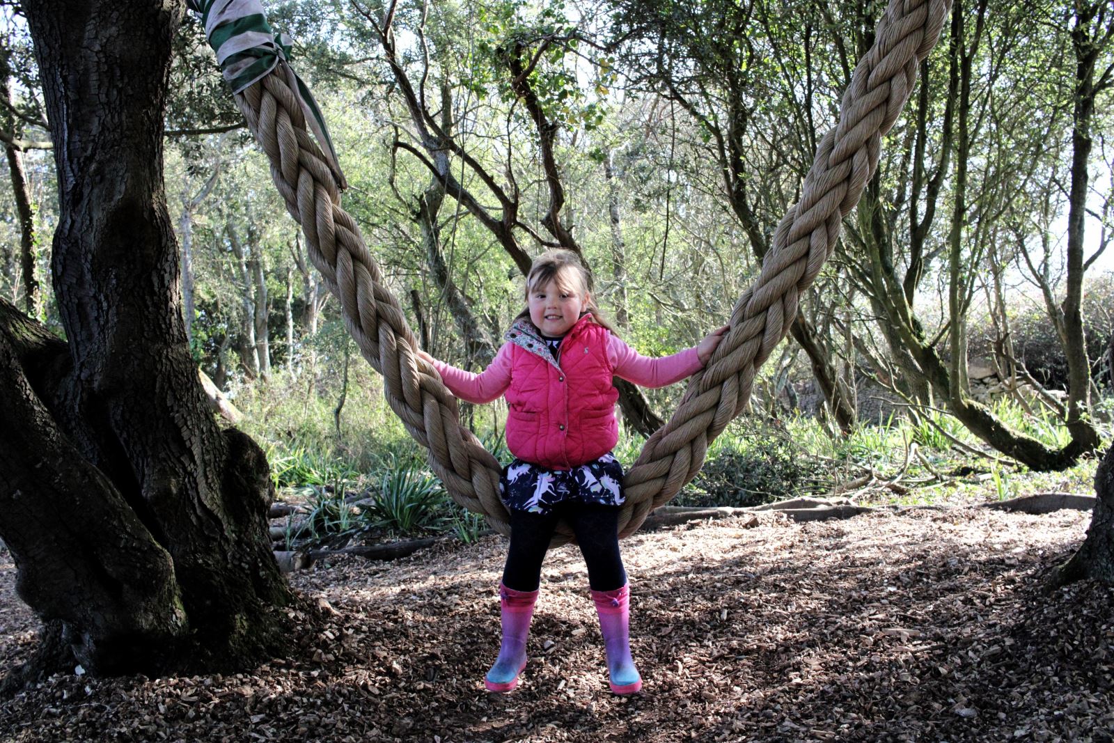 Child on rope swing on woodland trail