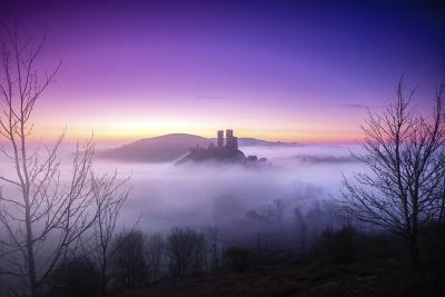 Take a Dorset View Exhibition