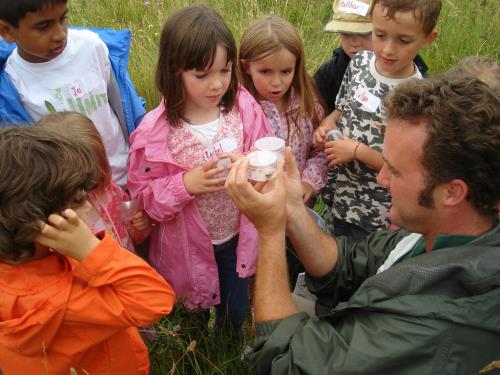 Wild Durlston: Kids Activity 